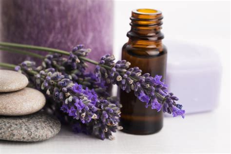 Lavender: A Natural Remedy for Seasonal Allergies and Hay Fever
